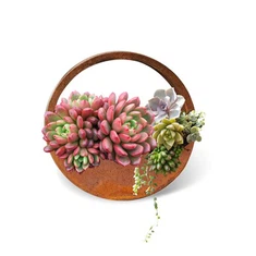 कोर्टेन स्टील हैंगिंग प्लांटर्स