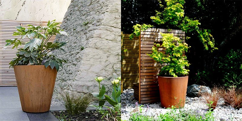 Backyard corten planter boxes Backyard corten planter boxes